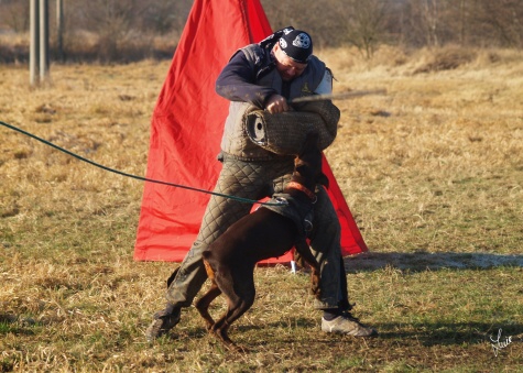 The christmas training 27.12.2006